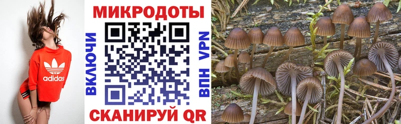 Галлюциногенные грибы Psilocybe  omg рабочий сайт  Сочи 